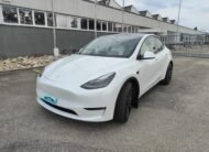 Tesla Model Y Performance D