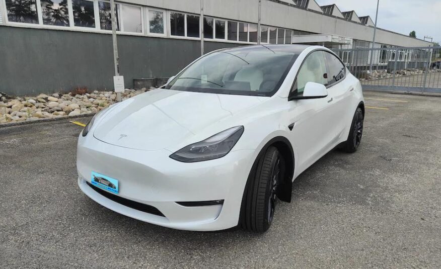 Tesla Model Y Performance D