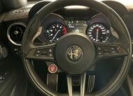 ALFA ROMEO Stelvio 2.9 V6 Quadrifoglio Q4 Automatic